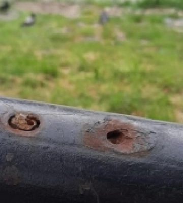 В Ужгороді невідомі спиляли мініскульптурки Михайла Колодка