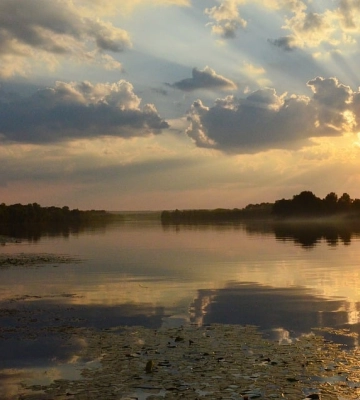 У столиці рівень води в Дніпрі за добу знизився на 19 сантиметрів