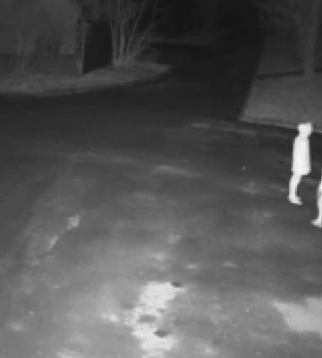 У Луцьку розшукали вандала, який нашкодив у парку