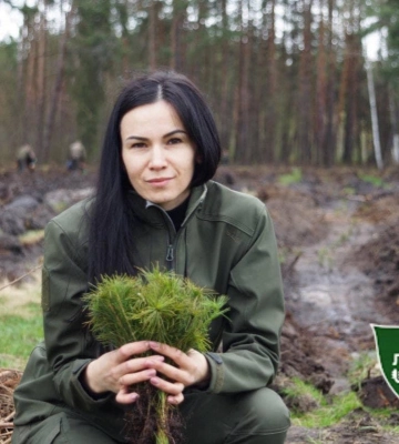 На Волині завдяки переселенцям галявина стане лісом 