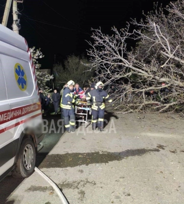Машину розірвало об дерево: на Одещині сталася смертельна аварія, - ФОТО
