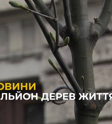 У центрі Львова представники ГО «Добро.Дій» разом з партнерами висадили іменні дерева