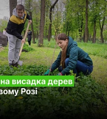 У Кривому Розі у парку Мершавцева висадили дерева та кущі