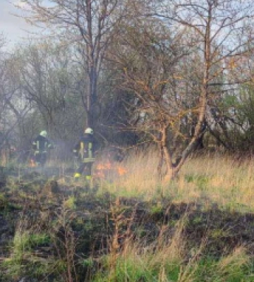Вогнеборці Львівщини вчора ліквідували 4 пожежі сухої трави