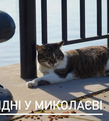 Куди піти на вихідні 29-30 квітня: афіша заходів