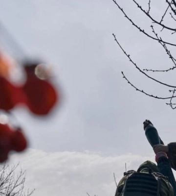 Збройні сили відбили 30 атак ворога на чотирьох напрямках у Донецькій області, – Генштаб