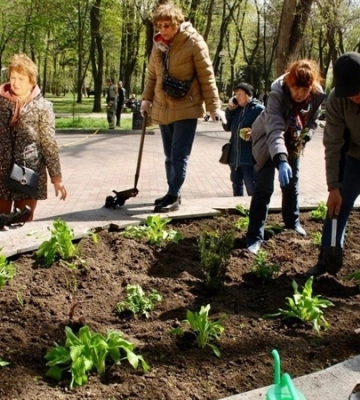 Дніпро квітучий: слухачі «Університету третього віку» висадили квіти на клумбах у парку ім. Т. Г. Шевченка