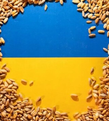 Польща розблокує транзит української агропродукції своєю територією – Свириденко