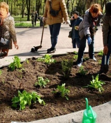 Дніпро квітучий: слухачі «Університету третього віку» висадили квіти на клумбах у парку ім. Т. Г. Шевченка