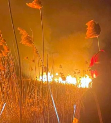Рятувальники Львівщини вчора гасили 9 пожеж сухої трави