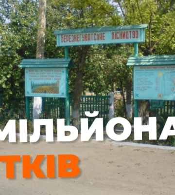 Завдав 2,6 млн грн збитків: на Миколаївщині судитимуть ексдиректора держпідприємства