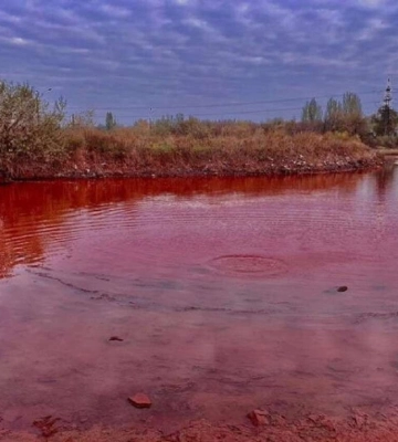 Дива Дніпропетровщини. Червоне озеро вражає своєю красою (Фото)