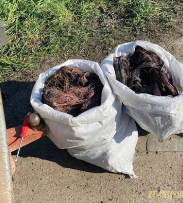 У Коростишеві затримали групу серійних викрадачів електрокабелів