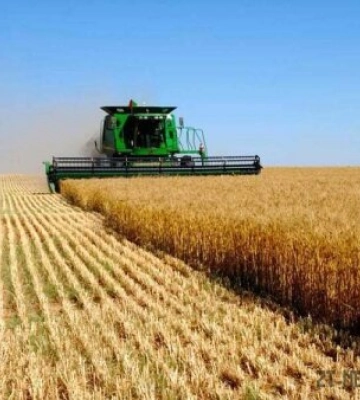 Посівна кампанія-2023: Хід сівби ярих культур на Житомирщині