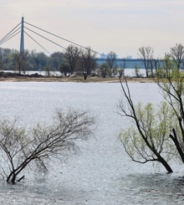 Рівень водопілля в Києві стабілізувався – КМВА