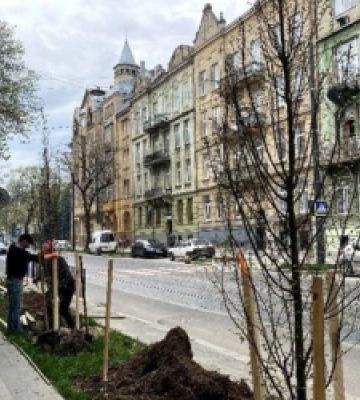 У Львові на вул. Степана Бандери висадили понад сотню дерев, а біля Органного залу висадять 2500 кущів