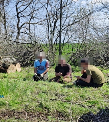 Незаконна вирубка лісу: на Дніпропетровщині учасникам організованої групи повідомили про підозру