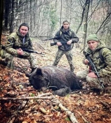 Закарпатські прикордонники заперечують свою причетність до вбивства ведмедиці