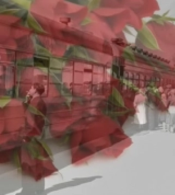 Вокалістка етно-гурту «Ягоди» переспівала хіт 60-х років на слова волинського поета Олександра Богачука. ВІДЕО