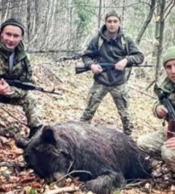 В Закарпатье нацпарк подозревает пограничников в убийстве медведицы, а те отрицают