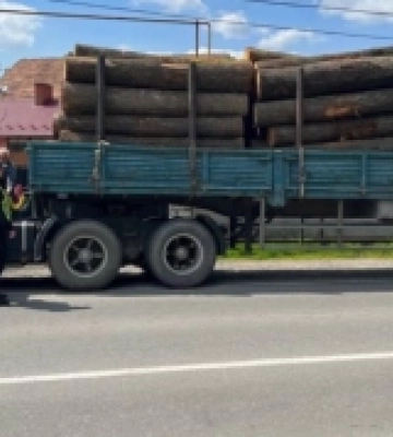 На Закарпатті затримали водія, який незаконно перевозив деревину