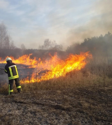 Палії сухої трави спровокували дві пожежі на Рівненщині