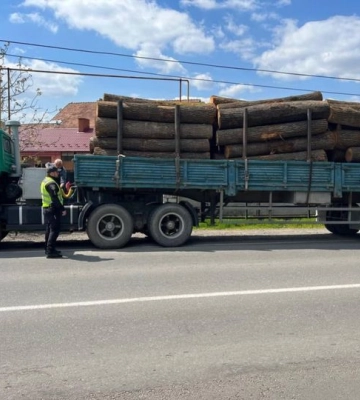 На Закарпатті затримали водія, який незаконно перевозив деревину