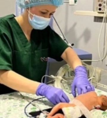 У Рівному фахівці Інституту серця врятували життя 600-грамовому немовляті з вродженою вадою серця