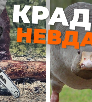 На Одещині чоловік викрав велосипед, бензопилу, домкрат та птицю