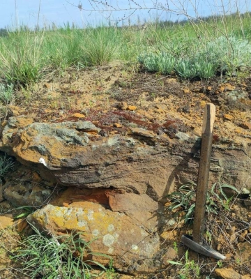 На Дніпропетровщині геологи знайшли сліди моря на зразок Каспійського