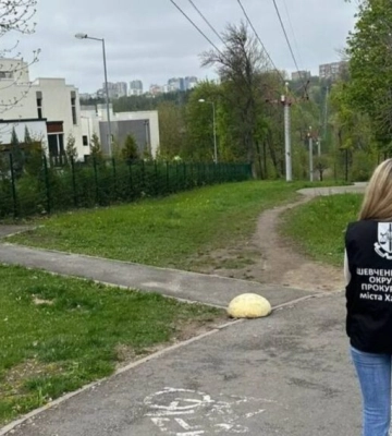 У Харкові вимагають повернути ділянки, віддані під приватну забудову біля Саржиного Яру