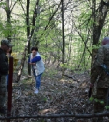 Прикордонники Закарпаття заперечили факт вбивства ведмедиці: до суду подали позов за наклеп