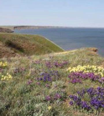 На Миколаївщині збільшено площу природно-заповідного фонду
