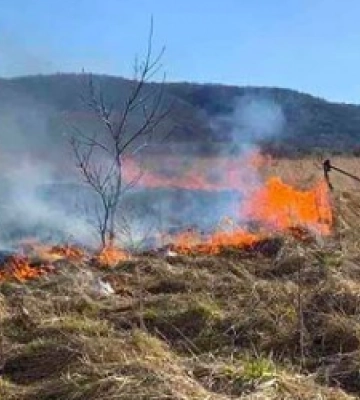 На Львівщині вчора ліквідували 6 пожеж сухостою