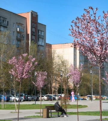 На вулицях Луцька демонтували рекламні щити. Фото