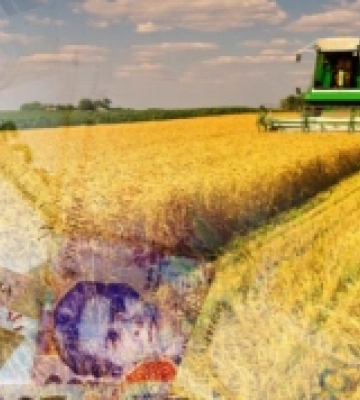 Аграрії Рівненщини залучили півмільярда гривень кредитів