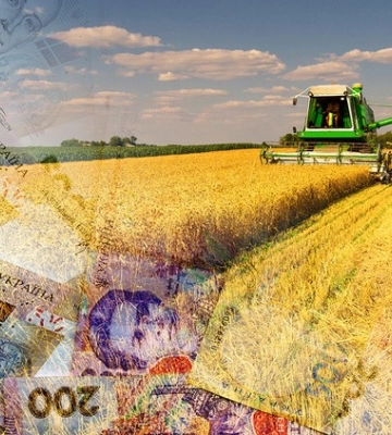 Сільгоспвиробники Рівненщини залучили півмільярда кредитів