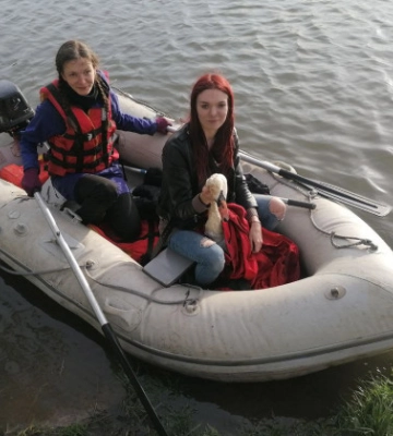 На Вінниччині врятували лебедя, який водив рятувальників за ніс більше трьох годин, фото