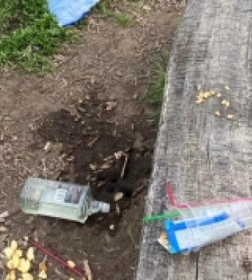 Для релокованого з Луганщини вишу Рівне стало другою домівкою