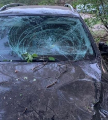 Поблизу Львові 17-річний водій збив 51-річну жінку та однорічну дівчинку