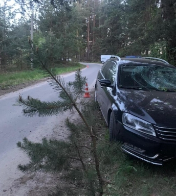 Біля Рави-Руської неповнолітній водій збив жінку з дитиною