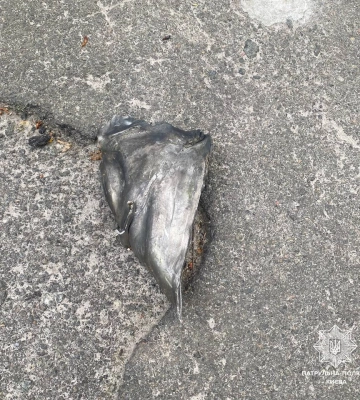 Поліція показала уламки від збитих над Києвом ракет та дронів (ФОТО)