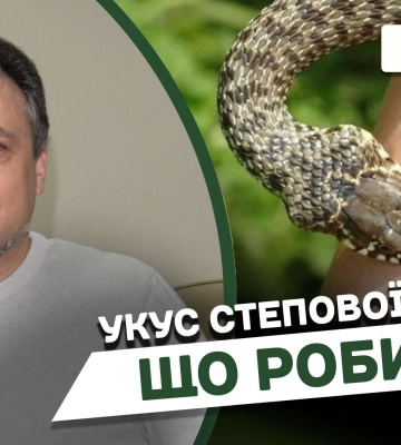 У Полтавській області двох людей госпіталізували з укусами змій