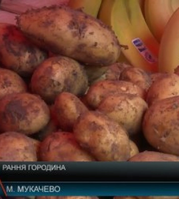 Прилавки ринків у Закарпатті вже заполонила молода картопля та соковита полуниця: Ціни та попит (відео)