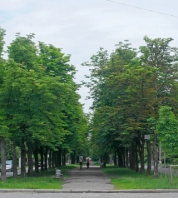 У Києві на бульварі Вірського відновили рух транспорту