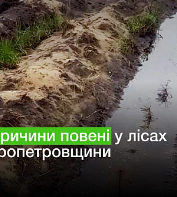 Які причини повені у лісах Дніпропетровщини