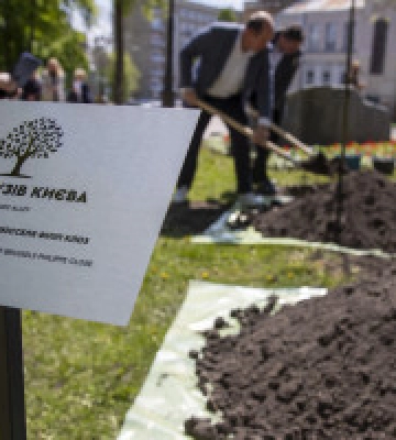 У столиці започаткували «Алею друзів Києва» на Володимирській гірці та вже висадили перші дерева