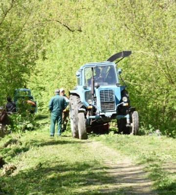 Понад дві тисячі учасників і 39 локацій: у Луцькій громаді відбулася толока