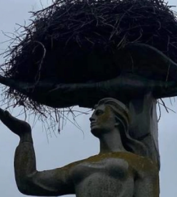Через лелече гніздо на Львівщині не можуть демонтувати радянський пам’ятник (ФОТО)