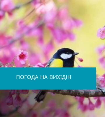 Вихідними на Рівненщині очікується прохолодна погода